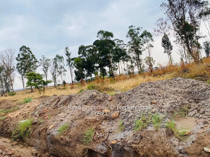 Spitzkop Gardens: Your Dream Home Awaits!