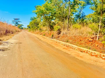 Farm & Agricultural Land