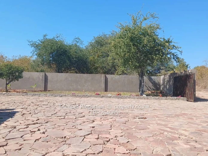 Fully Furnished Lodge in Binga — Modern Kitchen & Courtyard