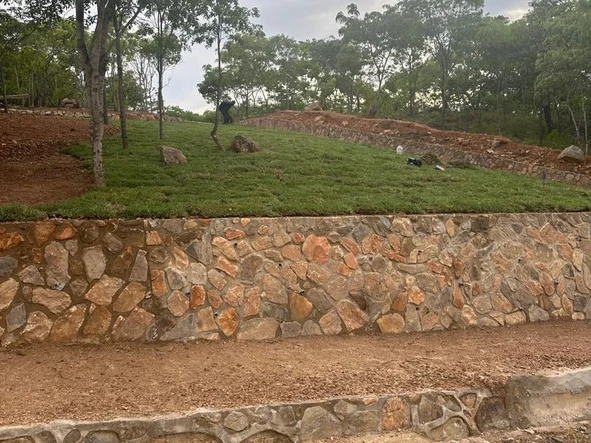 Stands & Residential Land