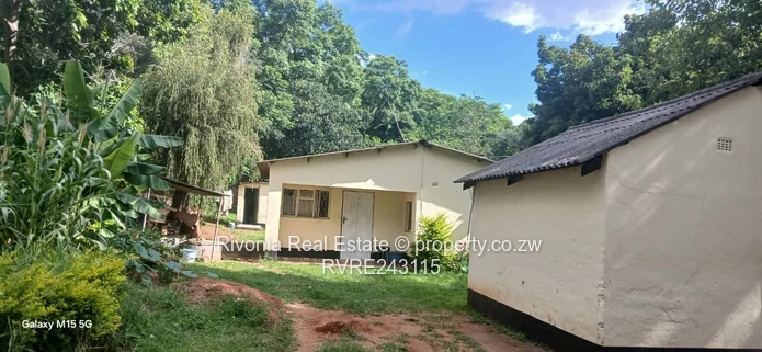 Lush 4217m² Meyrick Park Stand with Mature Shade Tree