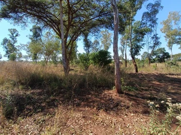 Commercial & Industrial Land