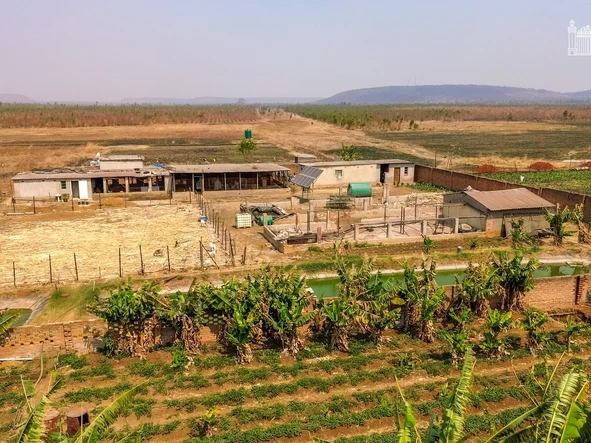 Farm & Agricultural Land