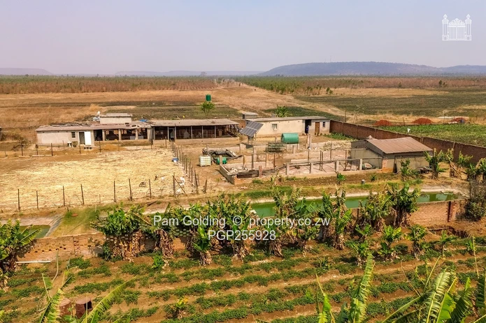 1.25HA Agricultural Plot Along Bulawayo Rd