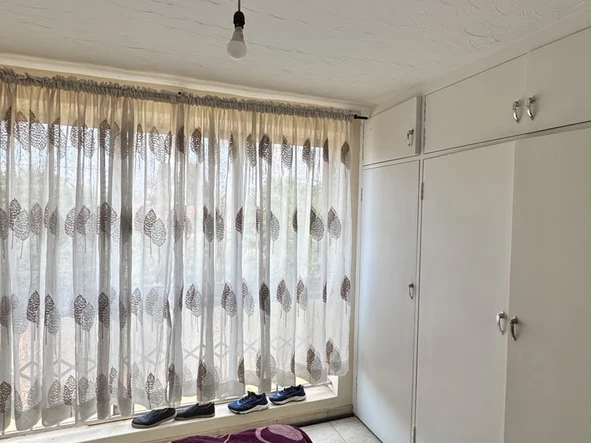 Flat & Apartment