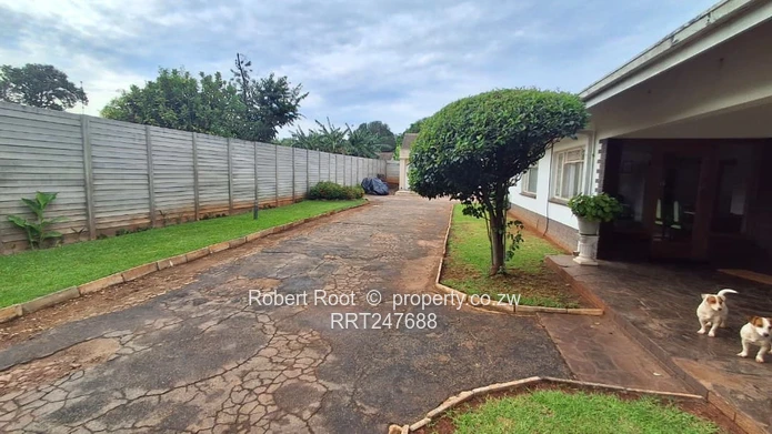 Alexandra Park Property For Sale