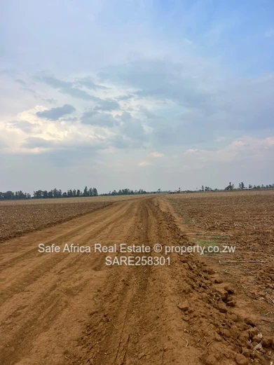 New Marlborough Residential Stands For Sale – Introductory Offer From Us$50/Sqm!