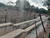 Farm & Agricultural Land