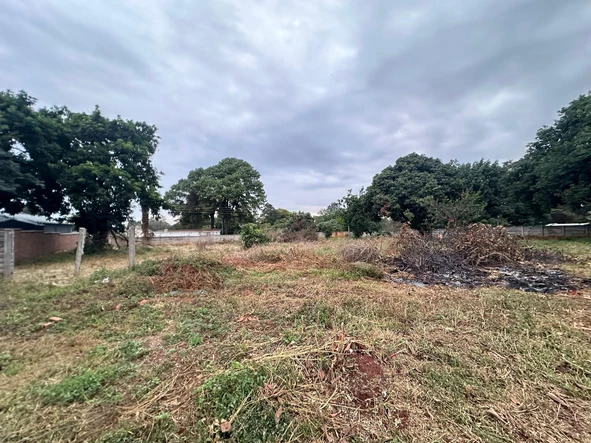 Stands & Residential Land