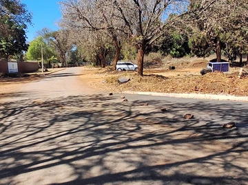 Commercial & Industrial Land