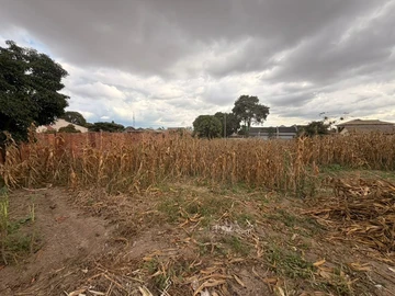 Stands & Residential Land