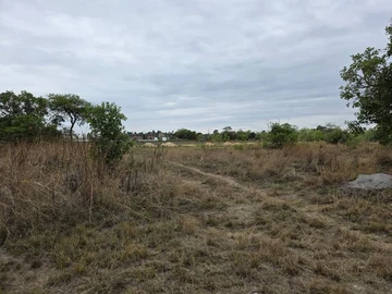 Farm & Agricultural Land