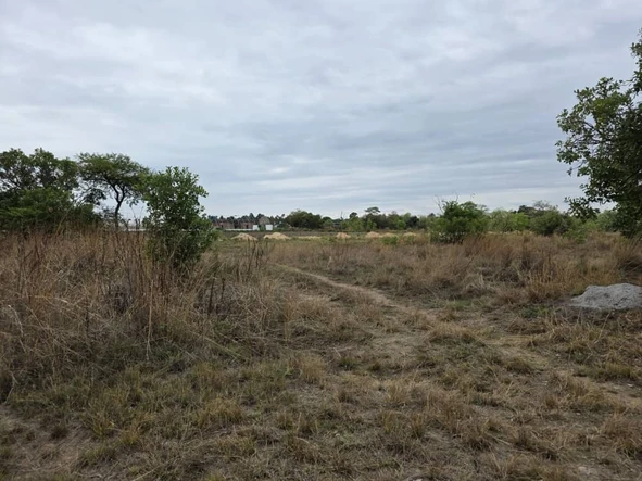 Farm & Agricultural Land