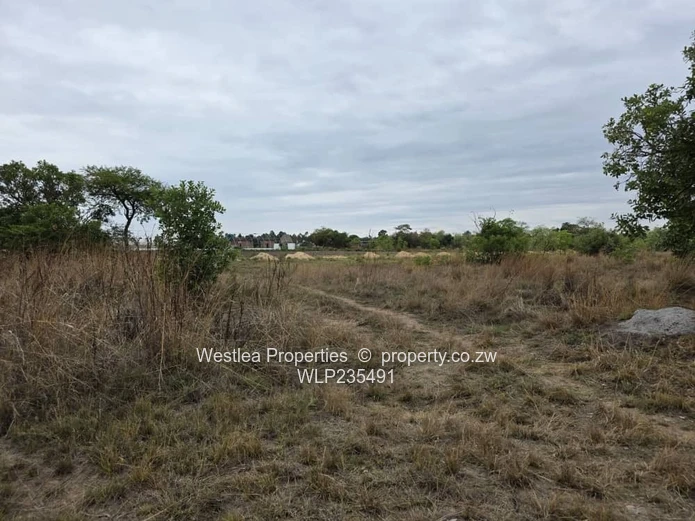 Grab this investment opportunity