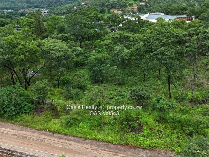 Carrick Creagh stands for sale