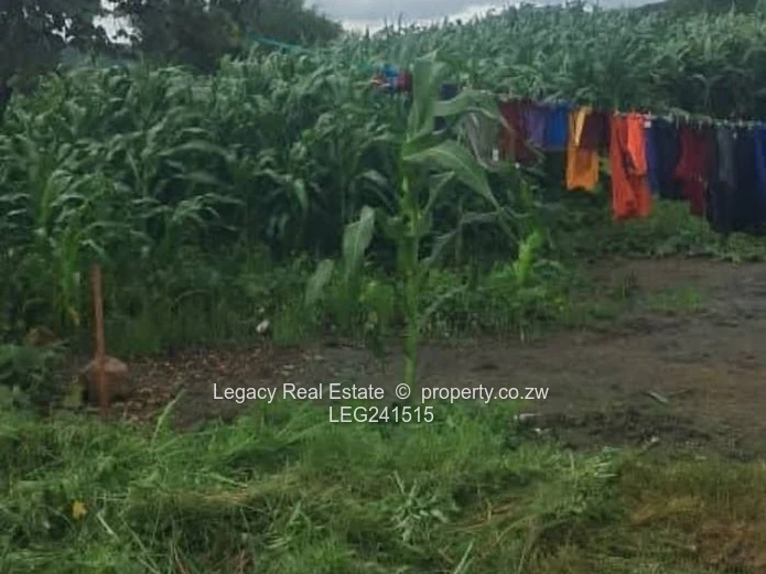 Spacious 1,200m² Stand in Mwashuma Park – Ready to Build