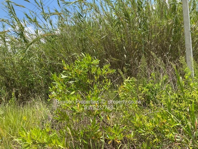 Don’t miss this great chance to invest!!