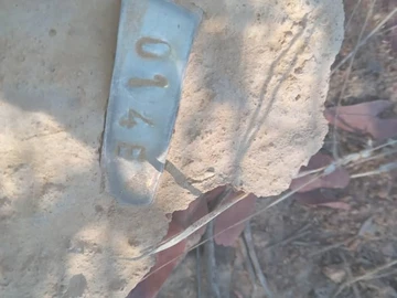 Farm & Agricultural Land