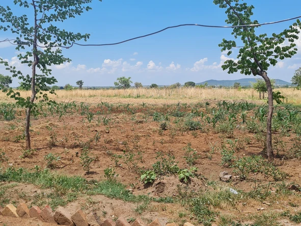 Farm & Agricultural Land