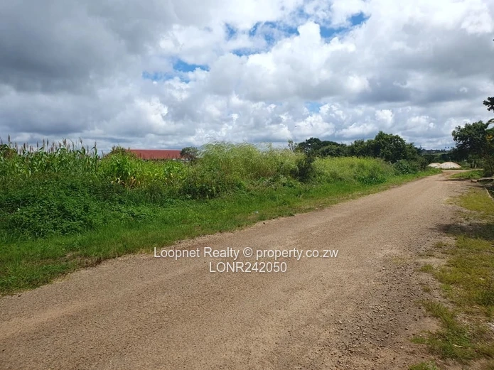 Subdivided Stands For Sale