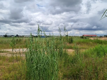 Commercial & Industrial Land