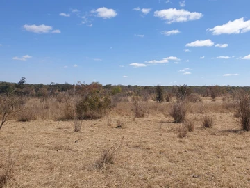 Land