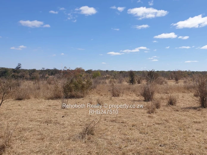 2.5ha Fenced Dry Grassland in Selous - Ideal Homestead
