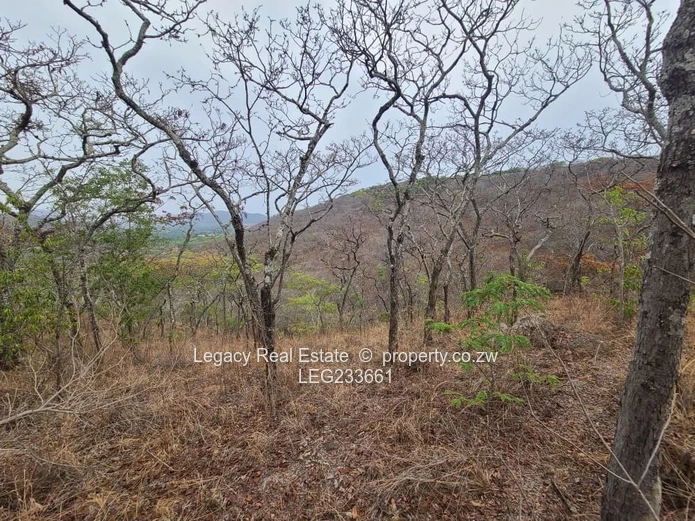 Prime 1.6-Hectare Plot for Sale in Christon Bank