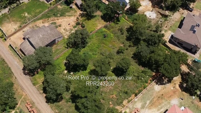 Borrowdale Carrick Creagh Stands For Sale