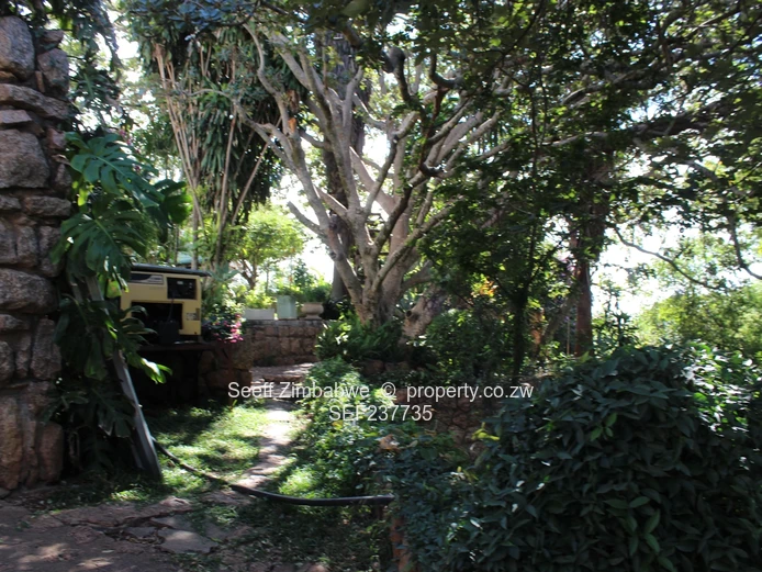 Executive Family Home