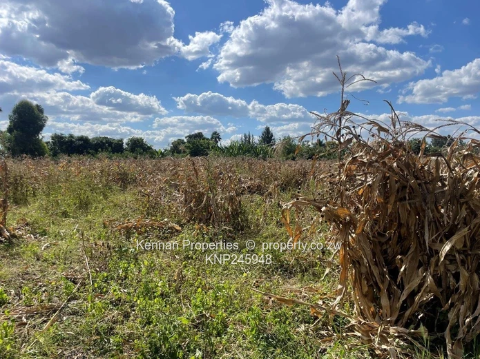 Old Malborough Stand For Sale  