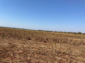 Farm & Agricultural Land