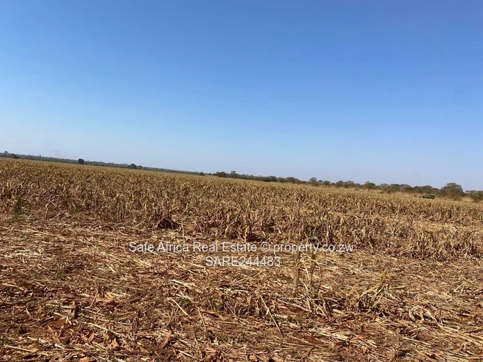 CHEGUTU 10 HECTARE AGRO- PLOTS FOR SALE Priced at $75k
