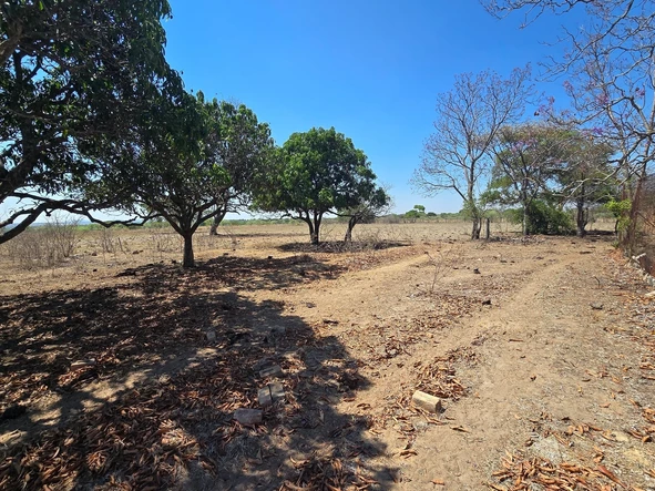 Farm & Agricultural Land