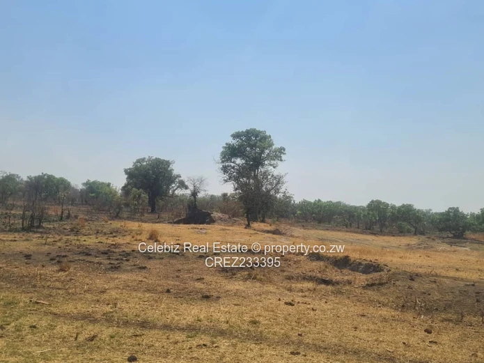 Norton plot for sale 