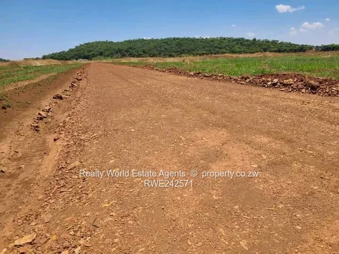 Spitzkop Stands for Sale