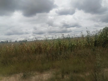 Farm & Agricultural Land