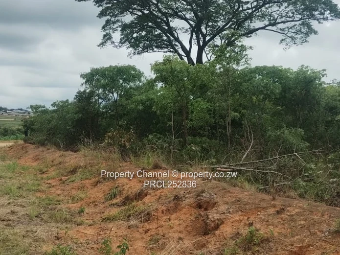 2159m² Corner Stand with Mature Trees in Rotsvlei Park, Marondera