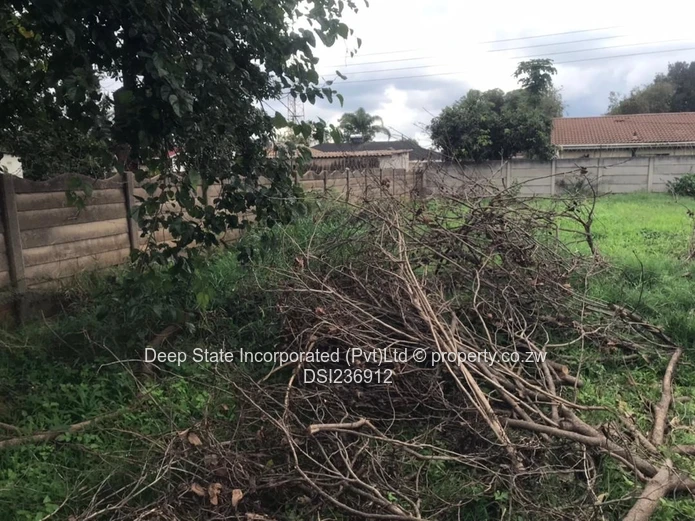 Belvedere house for sale 