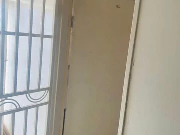 Flat & Apartment