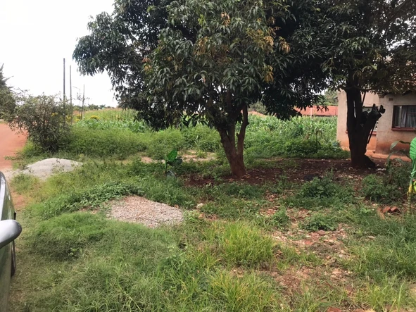 Stands & Residential Land