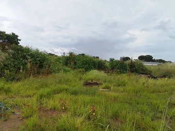 Commercial & Industrial Land