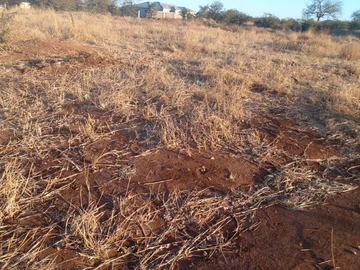 Stands & Residential Land