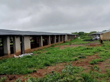 Farm & Agricultural Land