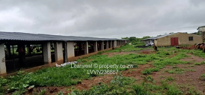 Chegutu - Suri Suri Plot To Rent