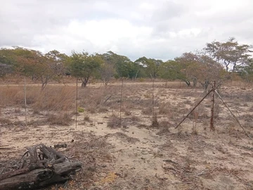 Farm & Agricultural Land