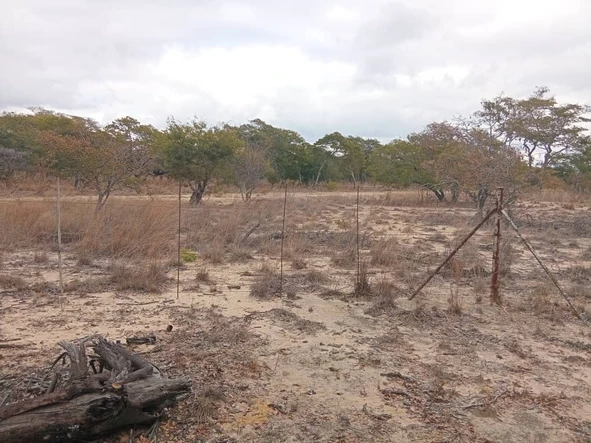 Farm & Agricultural Land