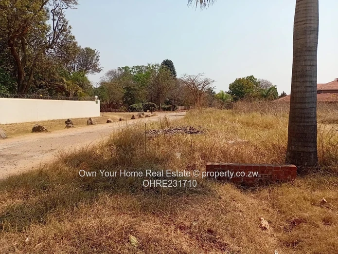 Vainona stand for sale 