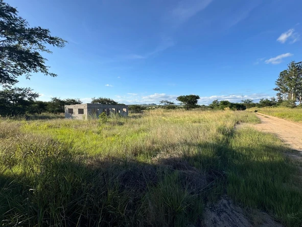 Commercial & Industrial Land