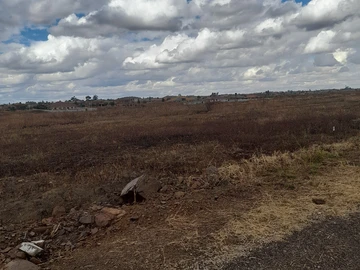 Stands & Residential Land